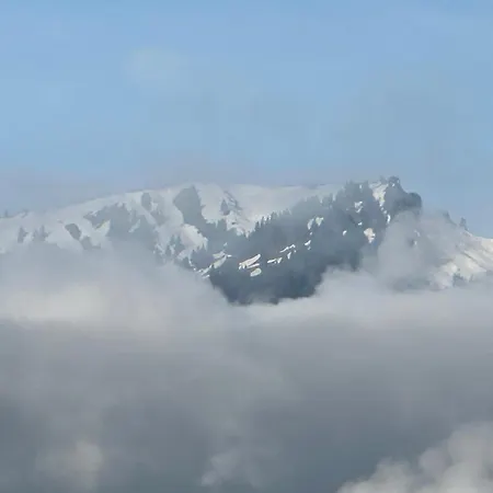 Berg Fux - 5 Neue Wohlfuehl Fewos - Bergblick, Zentral & Ruhig, Einige Fewos Mit Hund Oder Allergikerfreundlich Sonthofen